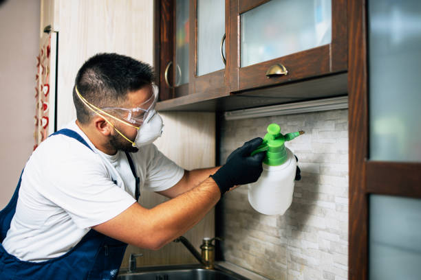 Best Emergency Pest Control  in Dublin, CA