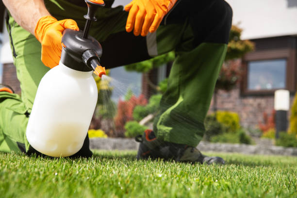 Best Affordable Pest Control Services  in Dublin, CA