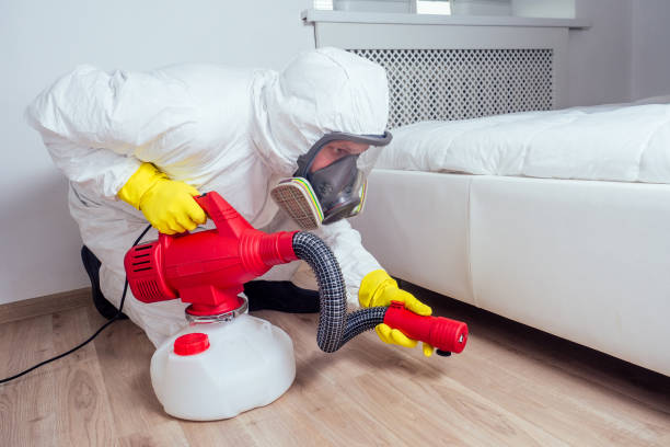 Best Cockroach Control Services  in Dublin, CA