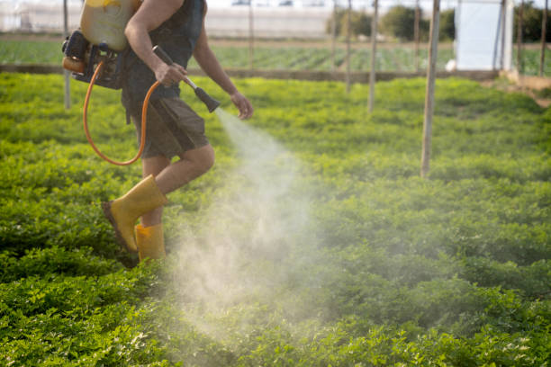 Best Wildlife Control Services  in Dublin, CA