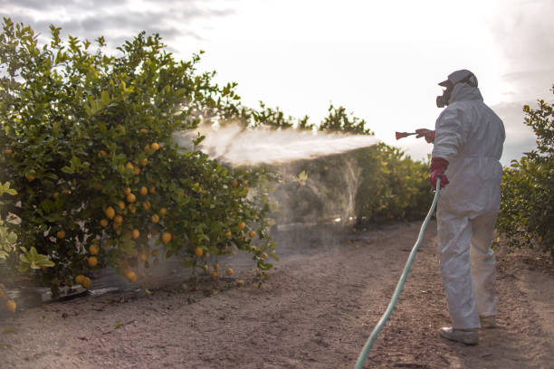Best Residential Pest Control  in Dublin, CA