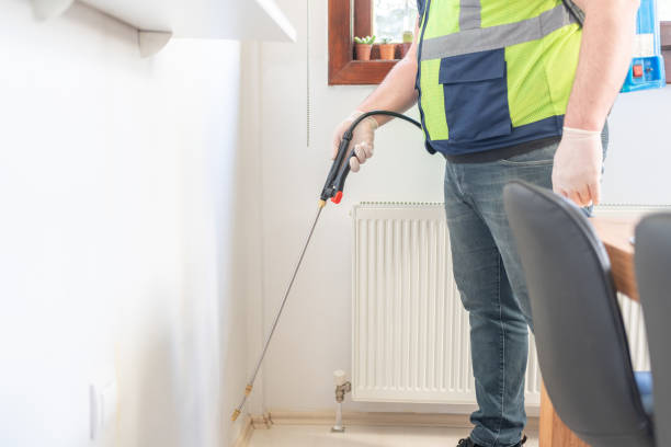Best Pest Control Near Me  in Dublin, CA