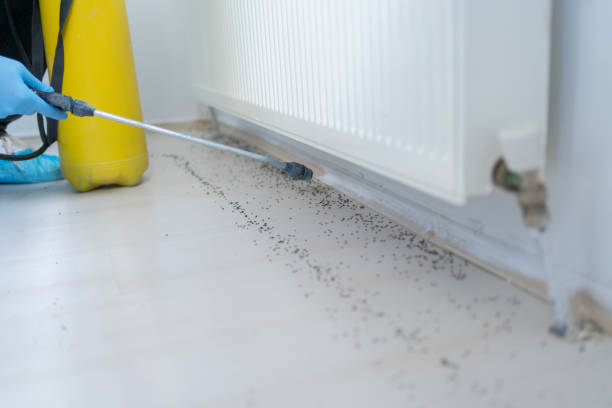 Dublin, CA Pest Control Company